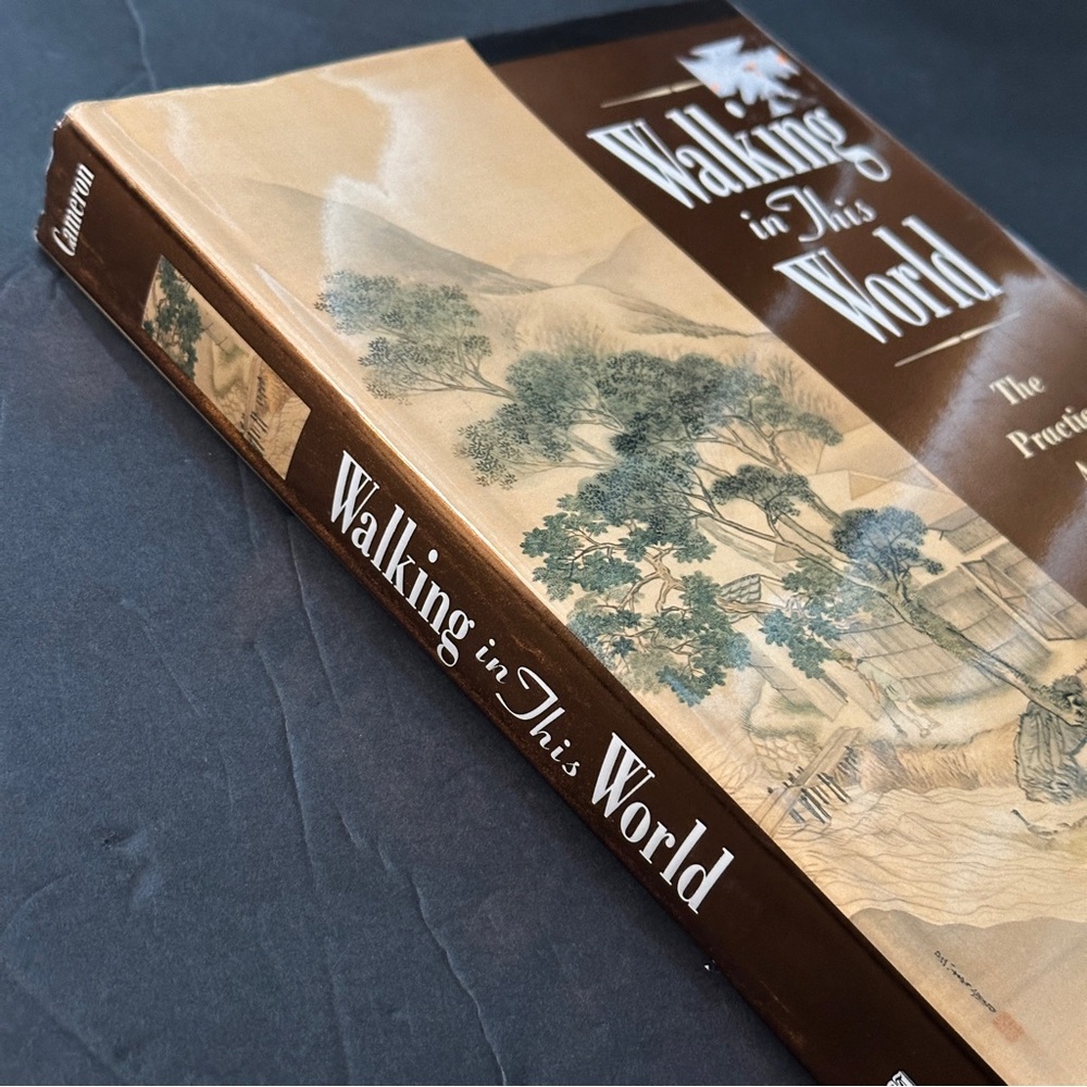 Walking in This World by Julia Cameron | Self-Help, Creativity | Hardcover Book - Picture 5 of 13